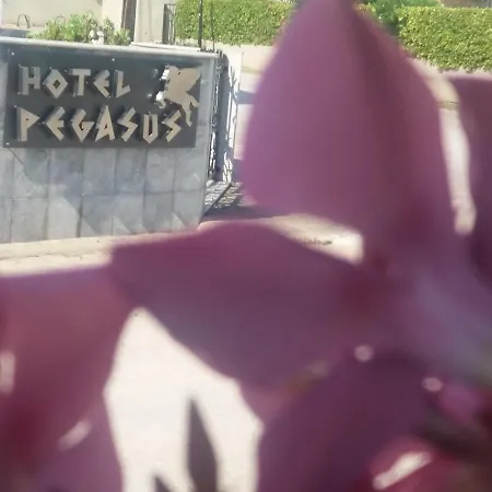 شقة فندقية Pegasus