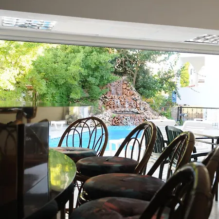 Pegasus هانيوتي