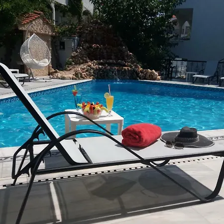 Pegasus هانيوتي