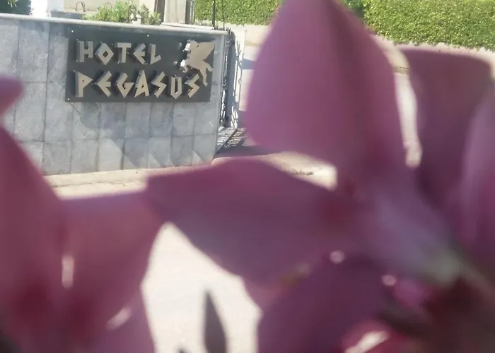 Lägenhetshotell Pegasus